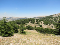 Shouf Biosphere Reserve